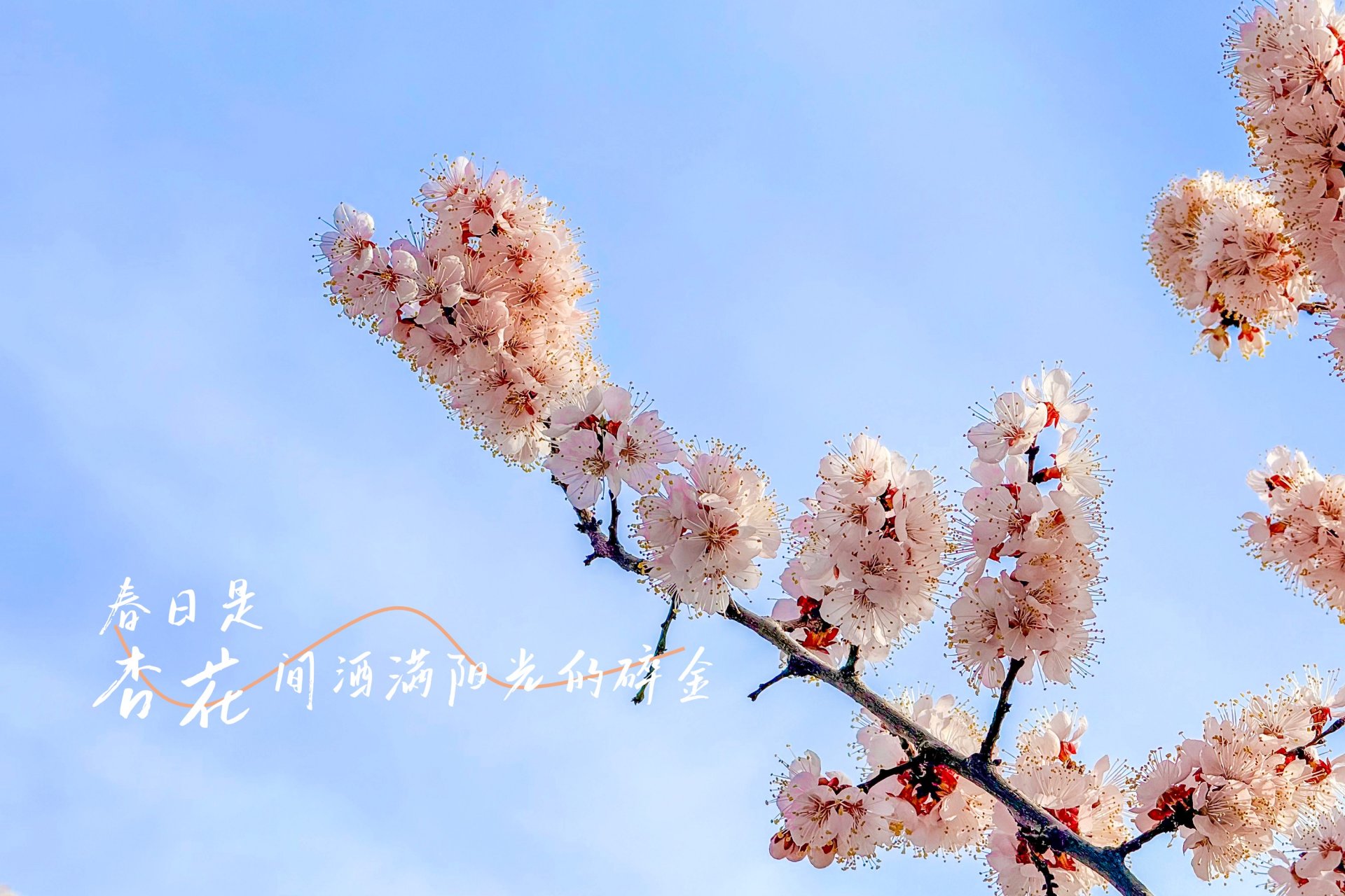 同题参见如某条暂不可用